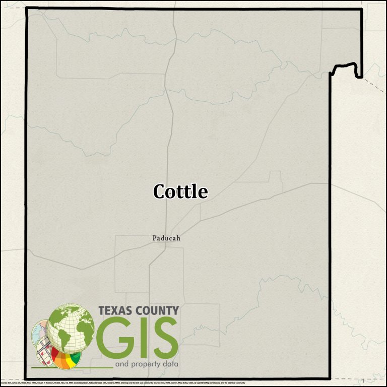 Texas County GIS Data | Texas GIS & Property Data Provider
